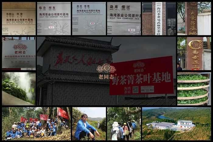 普洱茶行業(yè)的未來，應該往哪走？不妨和老同志一起，來一場 極限求索。