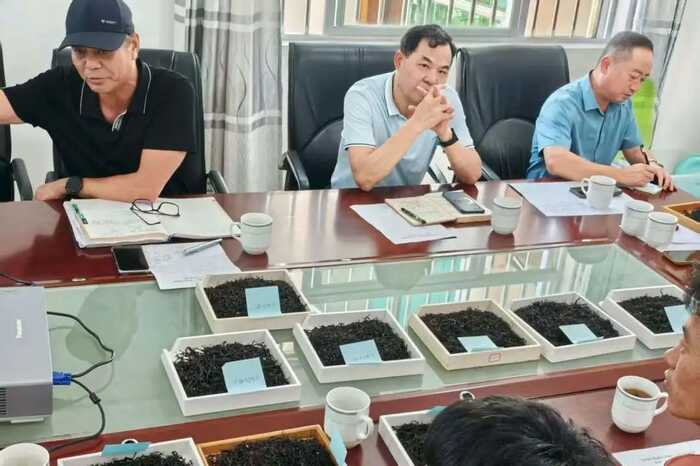 協(xié)會標準 “盈江紅茶”團體標準啟動會圓滿召開