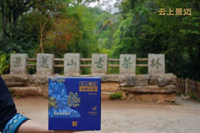 下關(guān)沱茶2025云上景邁古樹(shù)沱茶