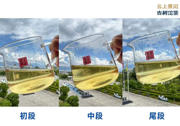 下關(guān)沱茶2025云上景邁古樹(shù)沱茶