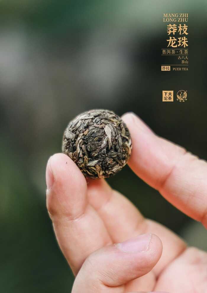 “六大茶山中最香的茶”——下關(guān)莽枝·龍珠