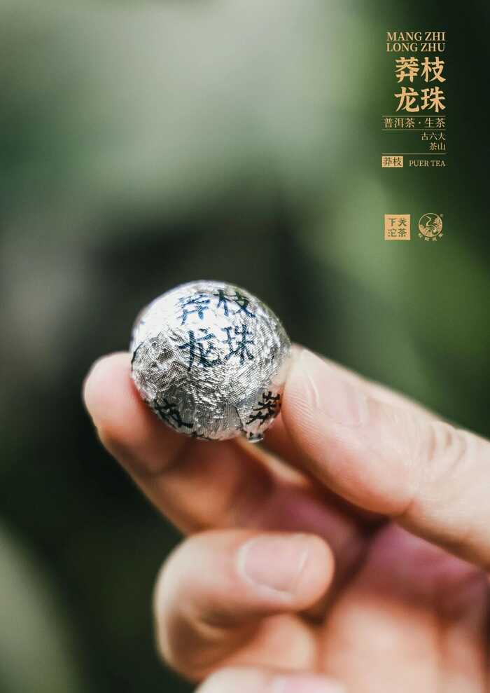 “六大茶山中最香的茶”——下關(guān)莽枝·龍珠