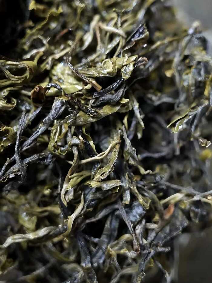 傳統(tǒng)大堆 VS 現(xiàn)代小堆? 普洱熟茶的微生物博弈與風(fēng)味抉擇