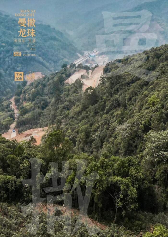 “易武茶香的源頭”——下關曼撒·龍珠