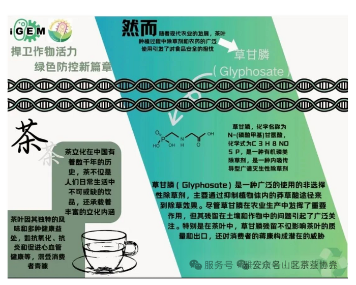 雅安市名山區(qū)茶業(yè)協(xié)會(huì)：關(guān)于規(guī)范使用茶葉綠色食品原料基地農(nóng)藥的倡議書(shū)