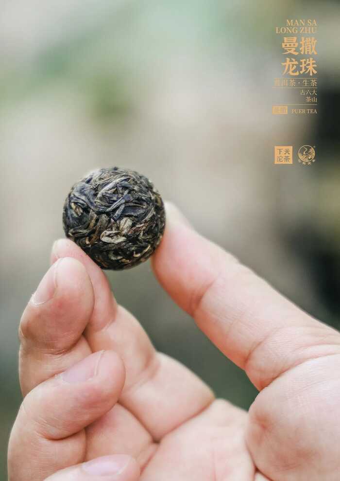 “易武茶香的源頭”——下關曼撒·龍珠