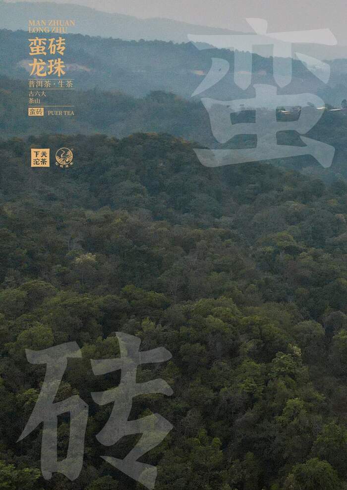 “六大茶山中的醇厚擔當”—— 下關蠻磚?龍珠
