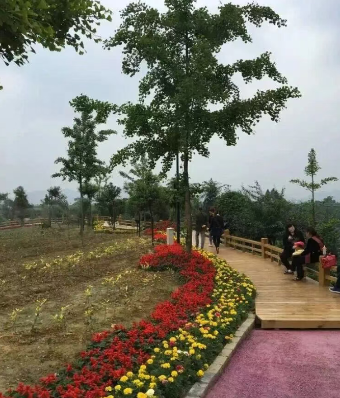 雅安市名山區(qū)茶業(yè)協(xié)會(huì)：關(guān)于規(guī)范使用茶葉綠色食品原料基地農(nóng)藥的倡議書(shū)