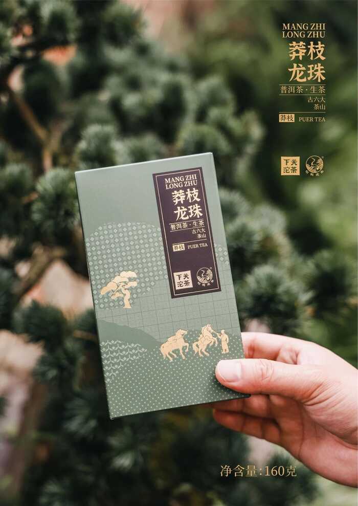 “六大茶山中最香的茶”——下關(guān)莽枝·龍珠
