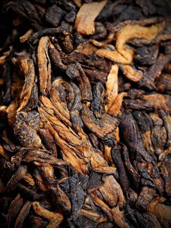 傳統(tǒng)大堆 VS 現(xiàn)代小堆? 普洱熟茶的微生物博弈與風(fēng)味抉擇