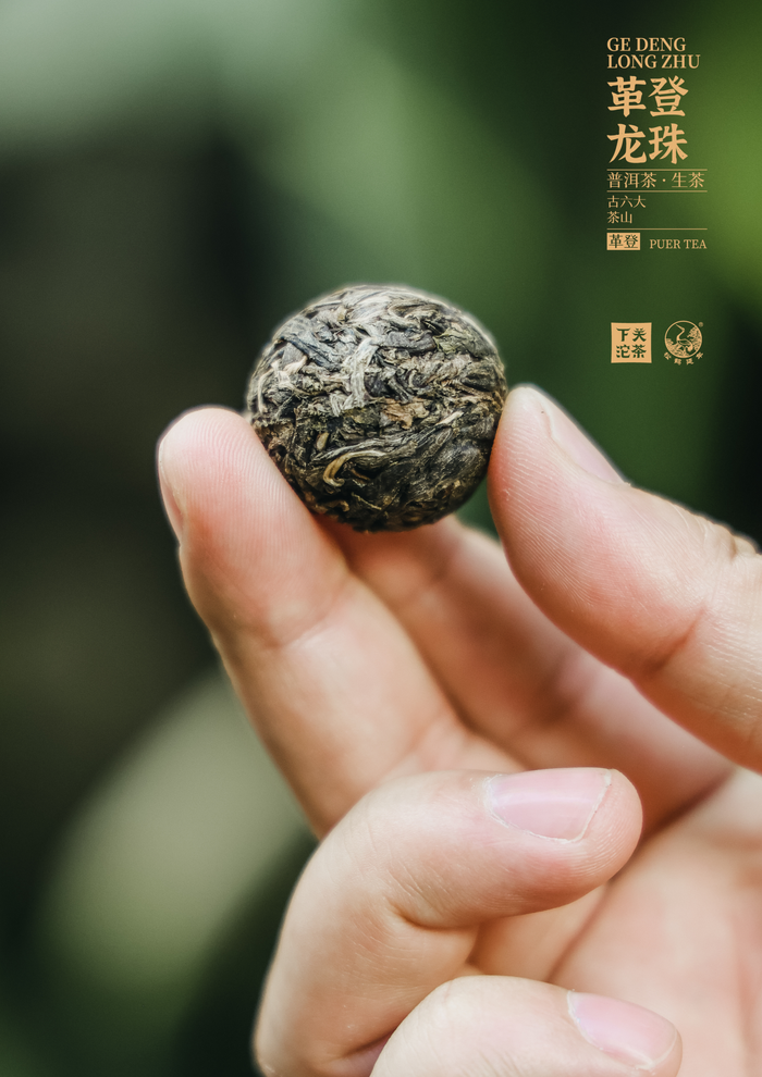 古六大茶山 下關(guān)沱茶革登·龍珠