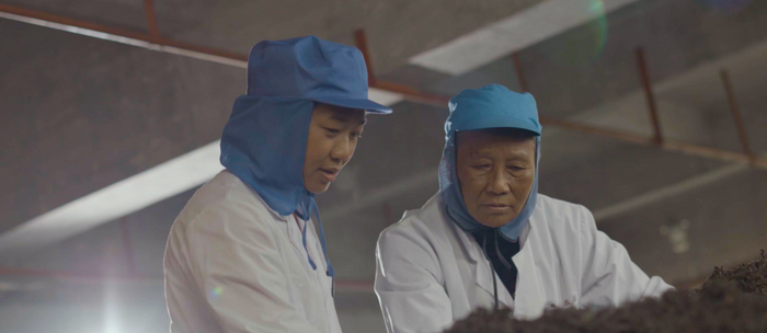 從80年代獲國家外經(jīng)貿(mào)部嘉獎，到參與國標(biāo)樣品研制，瀾滄古茶何以筑牢熟茶品質(zhì)根基？