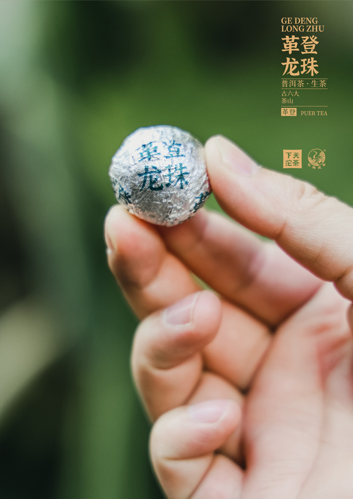 古六大茶山 下關(guān)沱茶革登·龍珠