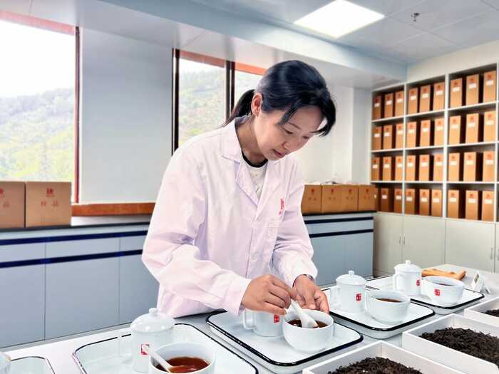 從80年代獲國家外經(jīng)貿(mào)部嘉獎，到參與國標(biāo)樣品研制，瀾滄古茶何以筑牢熟茶品質(zhì)根基？