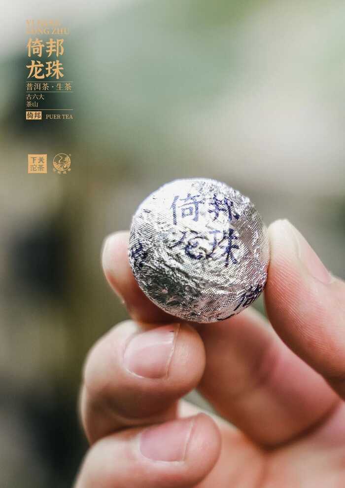 “六大茶山中的苦甜交織?”——下關(guān)倚邦·龍珠