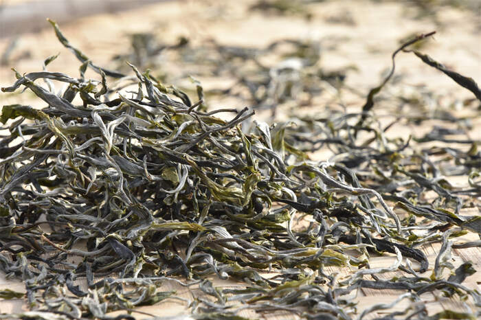 普洱茶行業(yè)怪象：市場規(guī)模擴(kuò)大，實(shí)體門店卻在加速關(guān)門！
