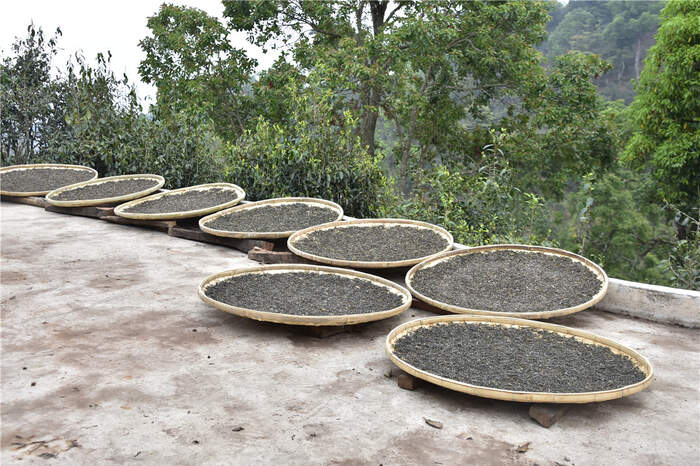 普洱茶行業(yè)怪象：市場規(guī)模擴(kuò)大，實(shí)體門店卻在加速關(guān)門！
