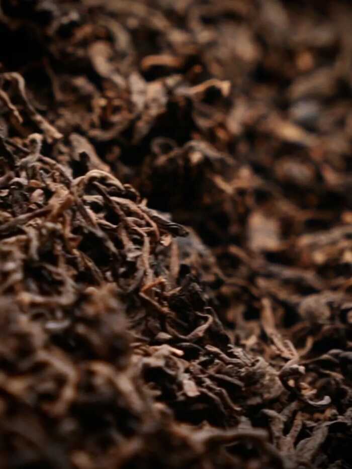 老同志新品上市：10載干倉“老茶頭”