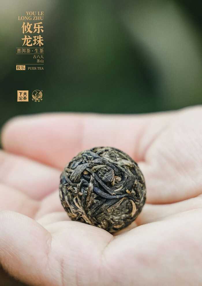 下關(guān)攸樂龍珠：剛?cè)岵纳种? data-href=