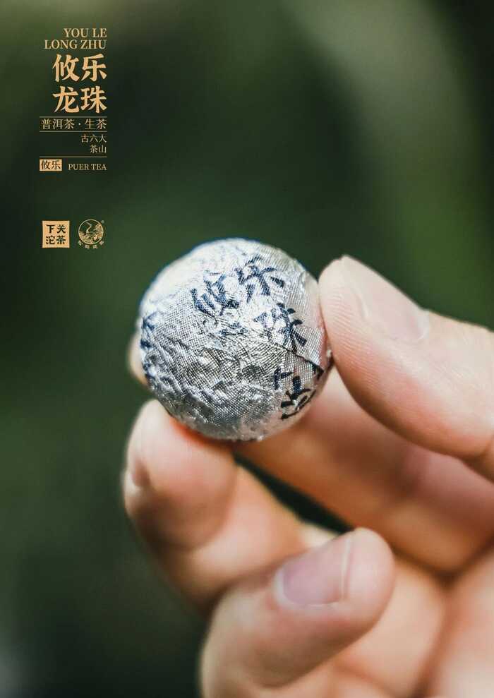 下關(guān)攸樂龍珠：剛?cè)岵纳种? data-href=
