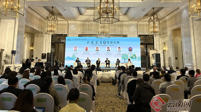 烹茶待遠(yuǎn)客！云南茶香中的2025全球南方媒體智庫高端論壇