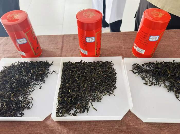 揭秘武夷巖茶獨(dú)特的“上市時(shí)差”與“巖韻”密碼