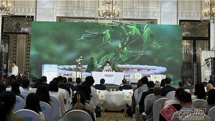 烹茶待遠(yuǎn)客！云南茶香中的2025全球南方媒體智庫高端論壇