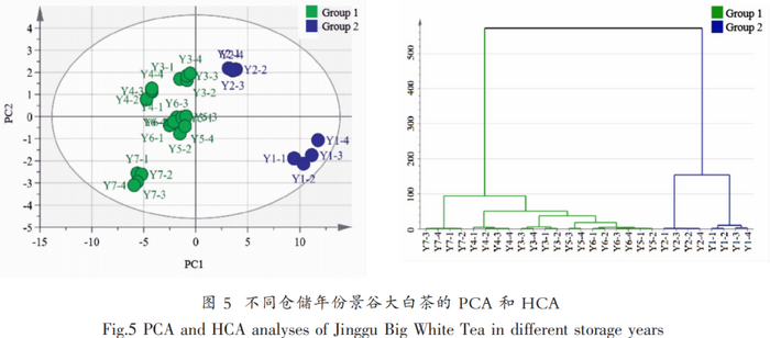 不同年份景谷大白茶品質(zhì)變化分析