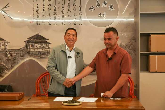 下關(guān)冰島老寨餅茶  藏在 “雙獅” 里的冰島老寨古樹茶香