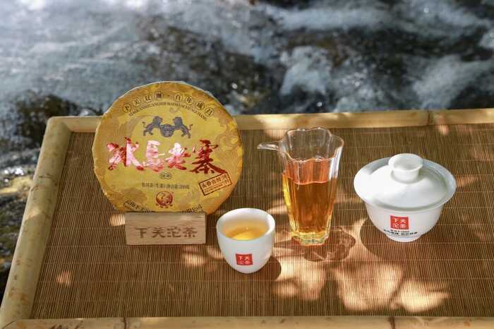 下關(guān)冰島老寨餅茶  藏在 “雙獅” 里的冰島老寨古樹茶香