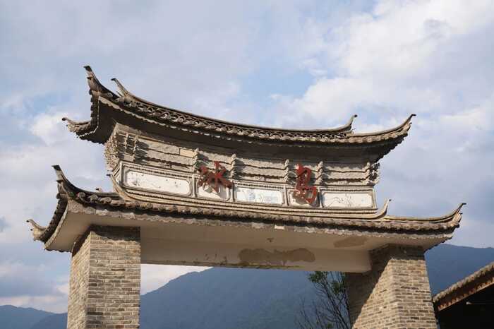 下關(guān)冰島老寨餅茶  藏在 “雙獅” 里的冰島老寨古樹茶香