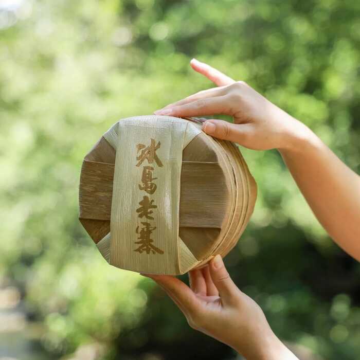 下關(guān)冰島老寨餅茶  藏在 “雙獅” 里的冰島老寨古樹茶香