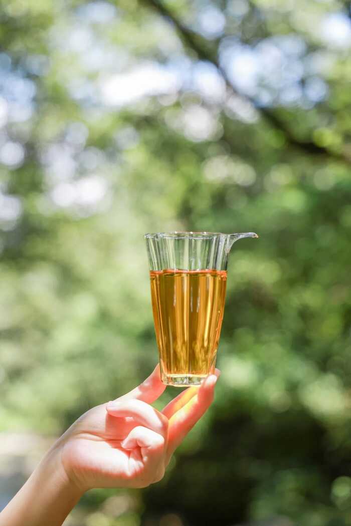 下關(guān)冰島老寨餅茶  藏在 “雙獅” 里的冰島老寨古樹茶香
