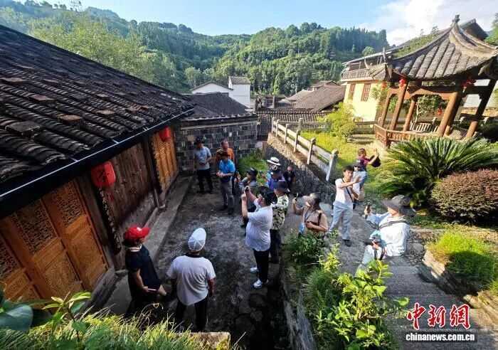 一片茶葉富了一個(gè)村 海外華媒探訪“坦洋工夫”紅茶發(fā)源地