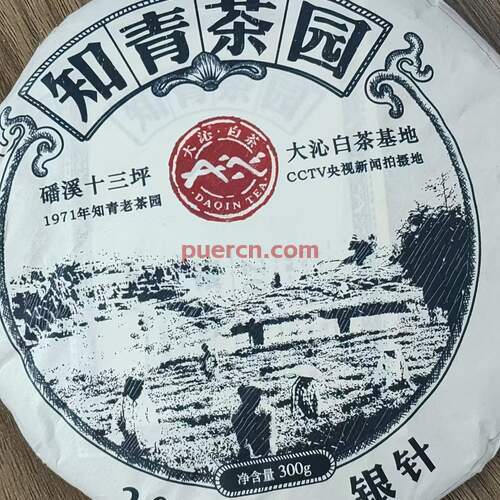 知青茶園 白毫銀針