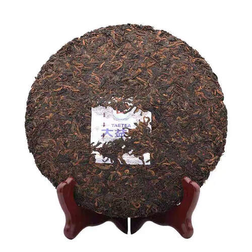 2020 2001 金針白蓮