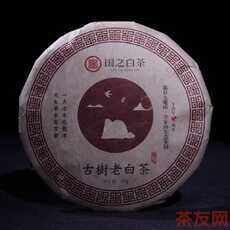 2003古樹老白茶