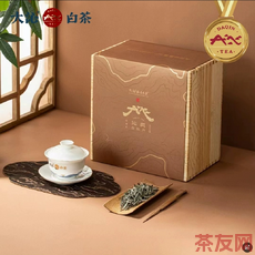 沁藏 白牡丹