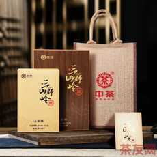 三山野嶺五年陳手筑茯茶