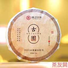 古茶園白牡丹