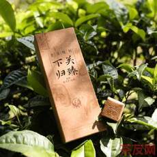 下關(guān)歸臻龍珠