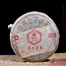 喬木古茶