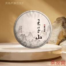 王子山