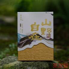 山野自在