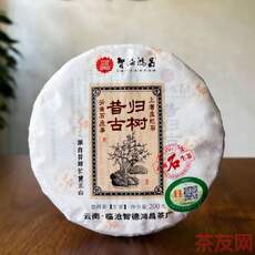 昔歸古樹