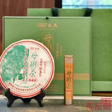 母樹(shù)茶 臻藏版