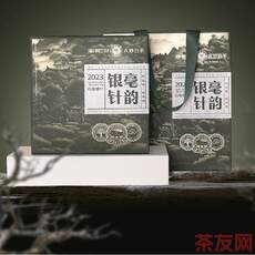 毫韻銀針