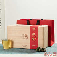 老樹白牡丹