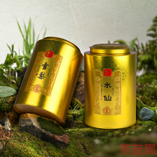 金罐 樓梯巖水仙