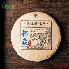 象往的地方 邦崴五年陈